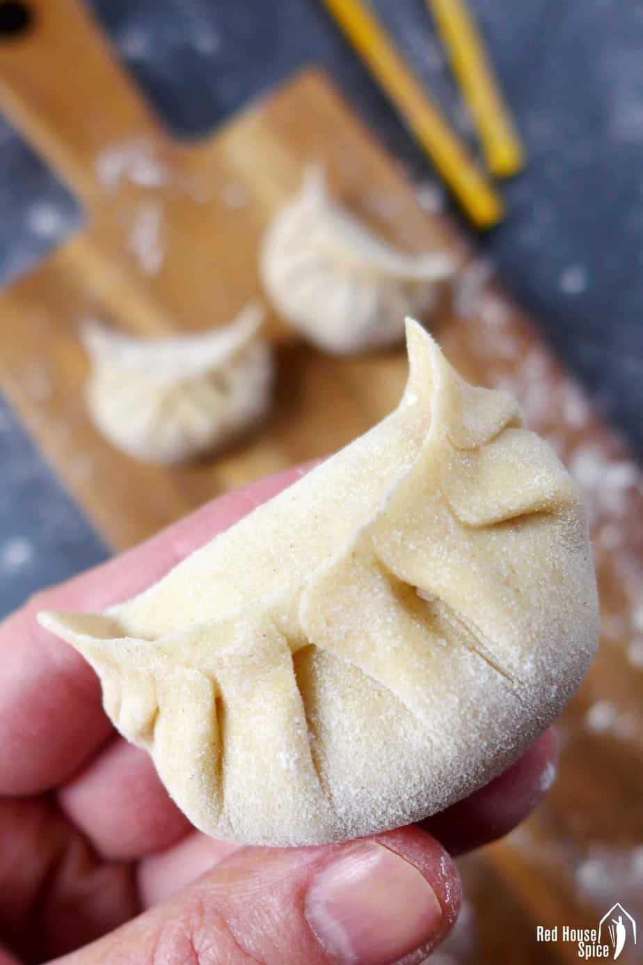 Ten ways to fold dumplings Ultimate Dumpling Guide part 20   Red ...