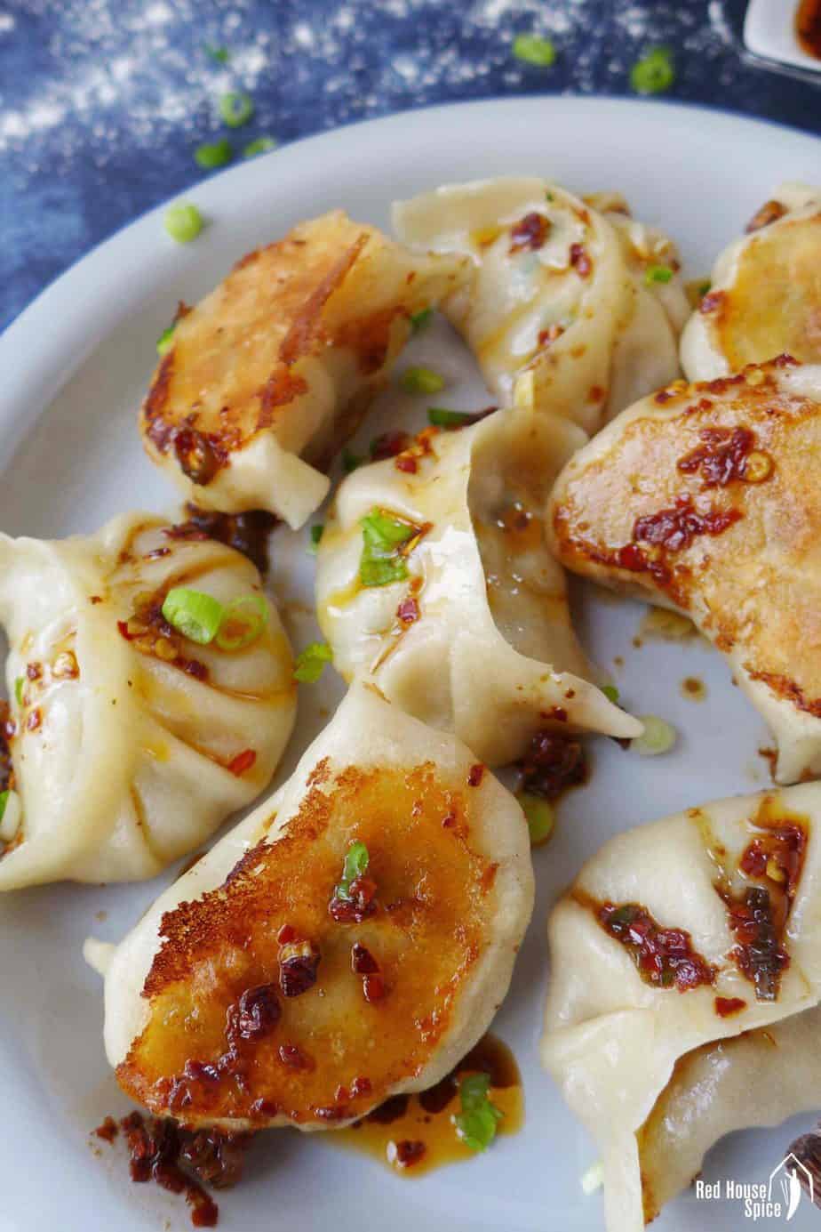 Pan fried vegan dumplings
