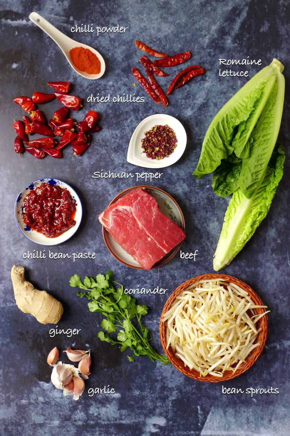 A group of ingredients for making Sichuan boiled beef.
