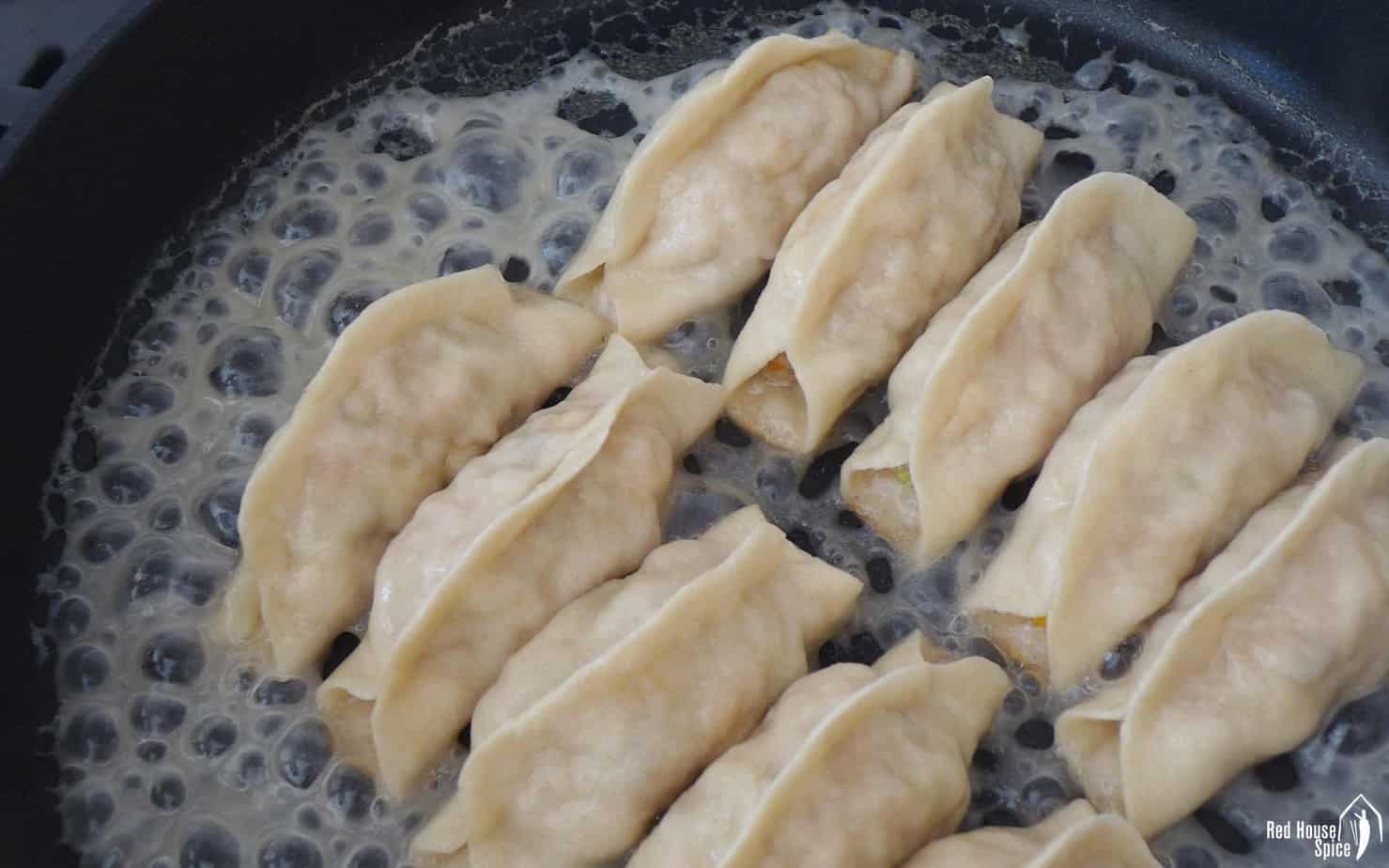 Potstickers in a frying pan