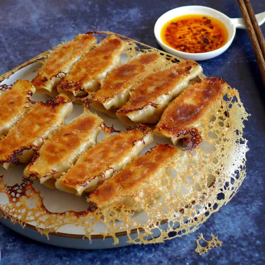 A plate of chicken potstickers