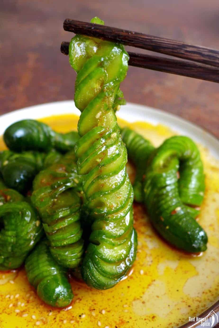 Chinese coir raincoat cucumber
