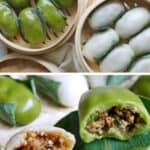 Sichuan leaf wrapped rice cakes with two different fillings