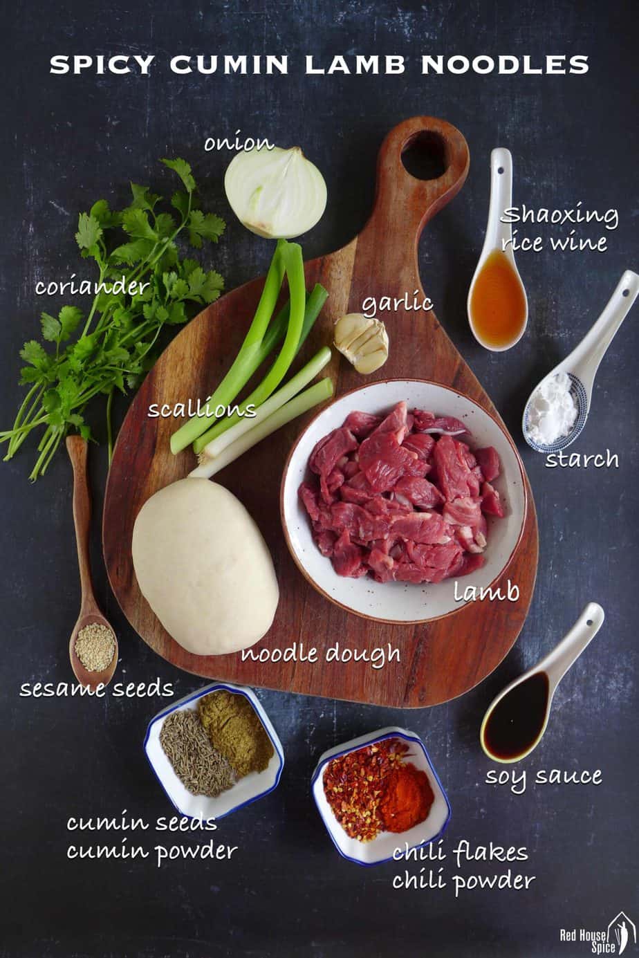ingredients for making spicy cumin lamb noodles