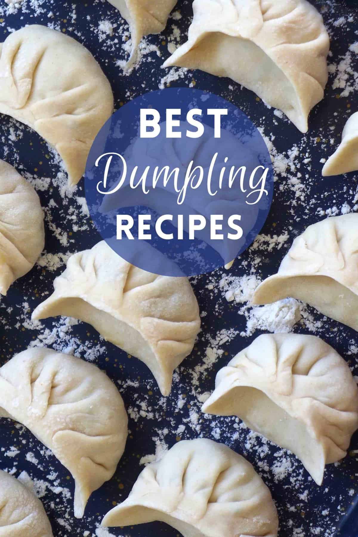 uncooked dumplings on a tray with overlay text that says best dumpling recipes.