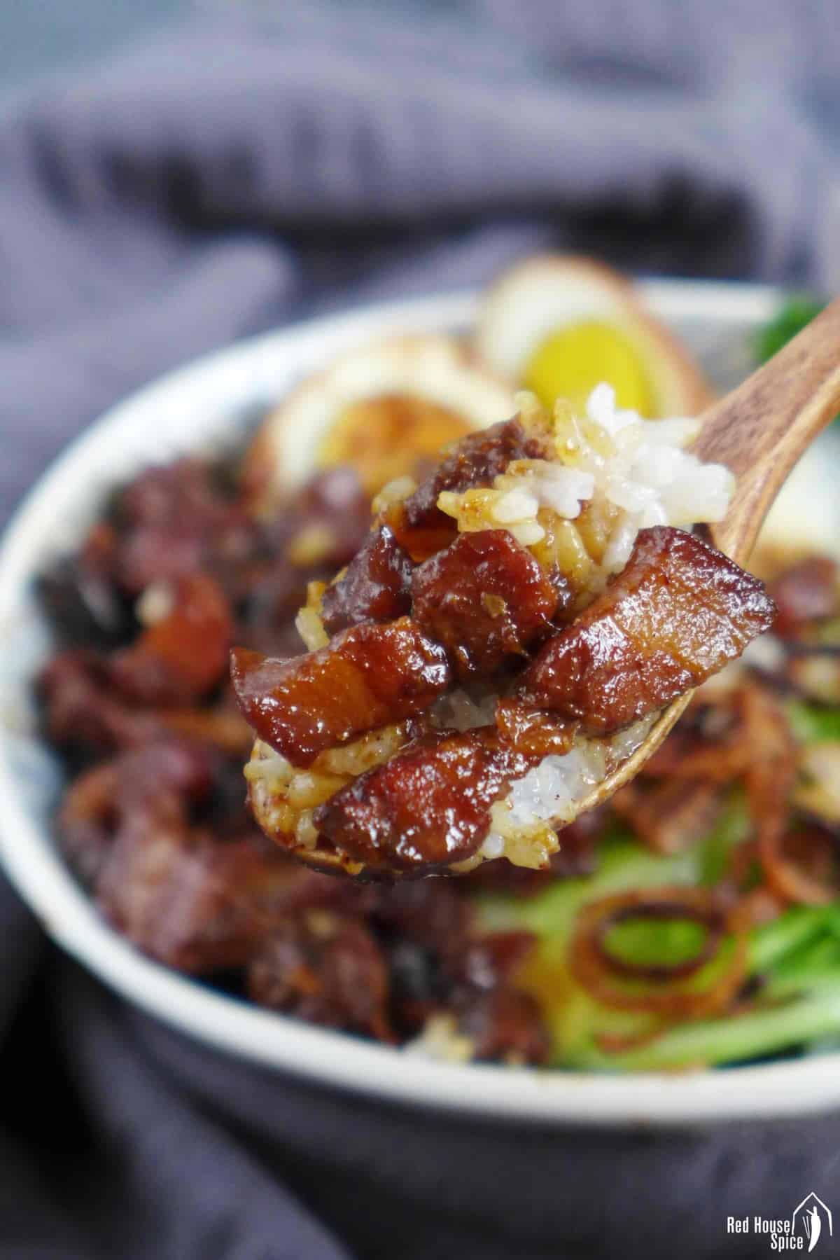 braised pork and rice on a spoon