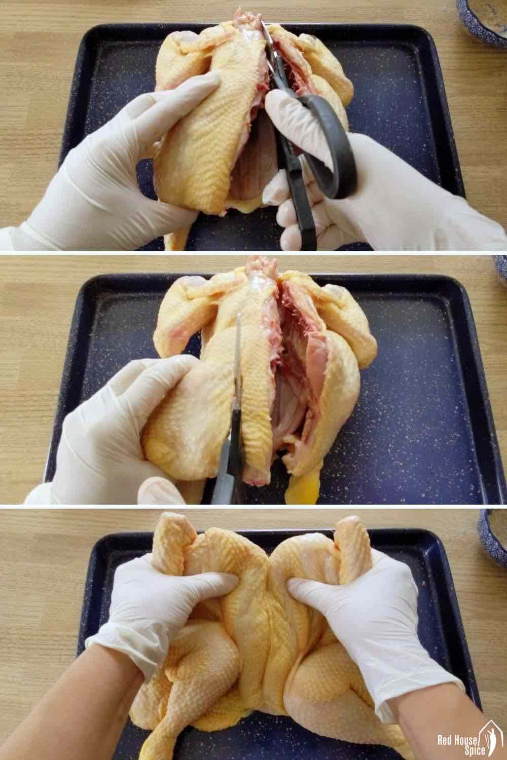 A photo collage of cutting off the backbone of a chicken