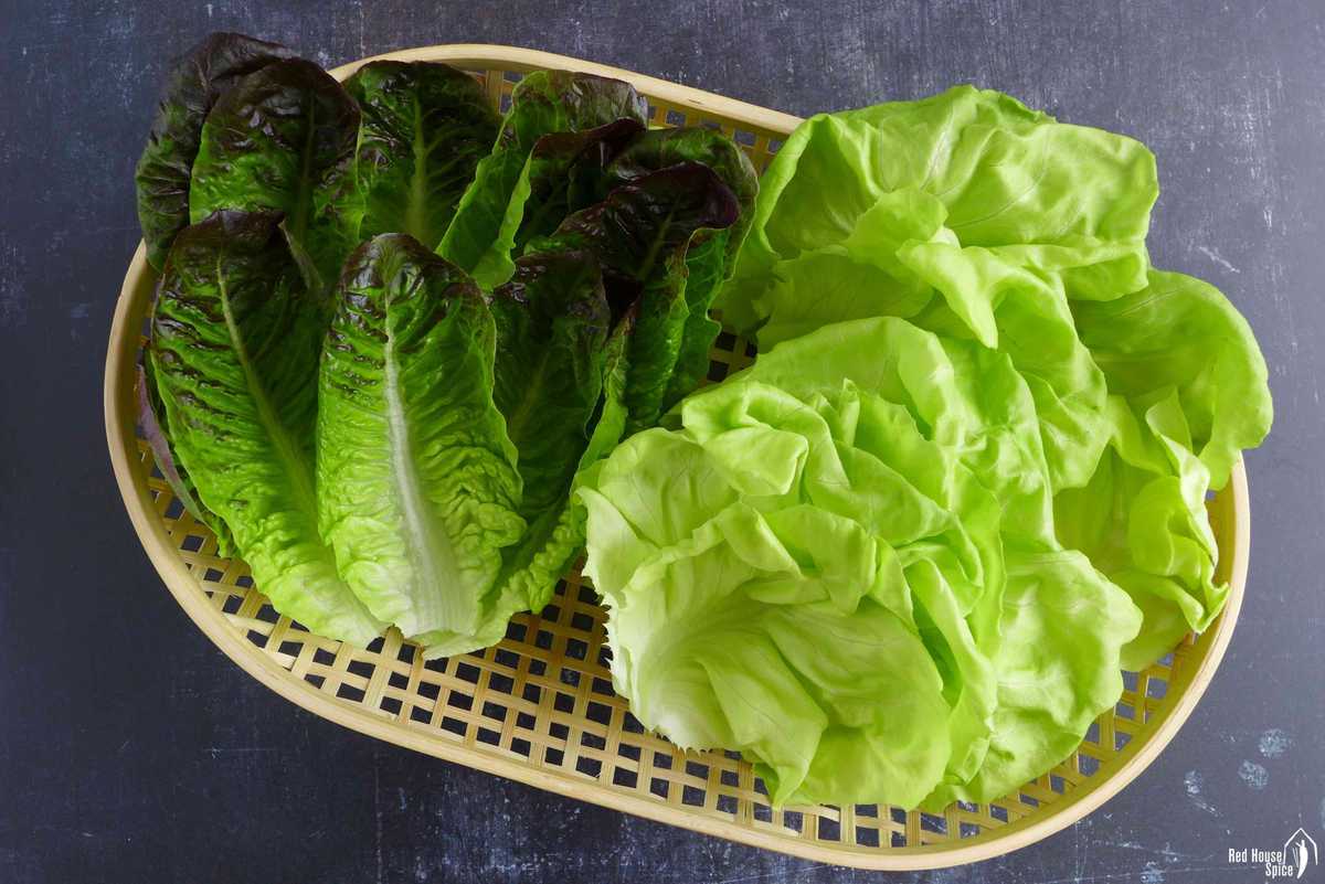 little gem lettuce and butter lettuce