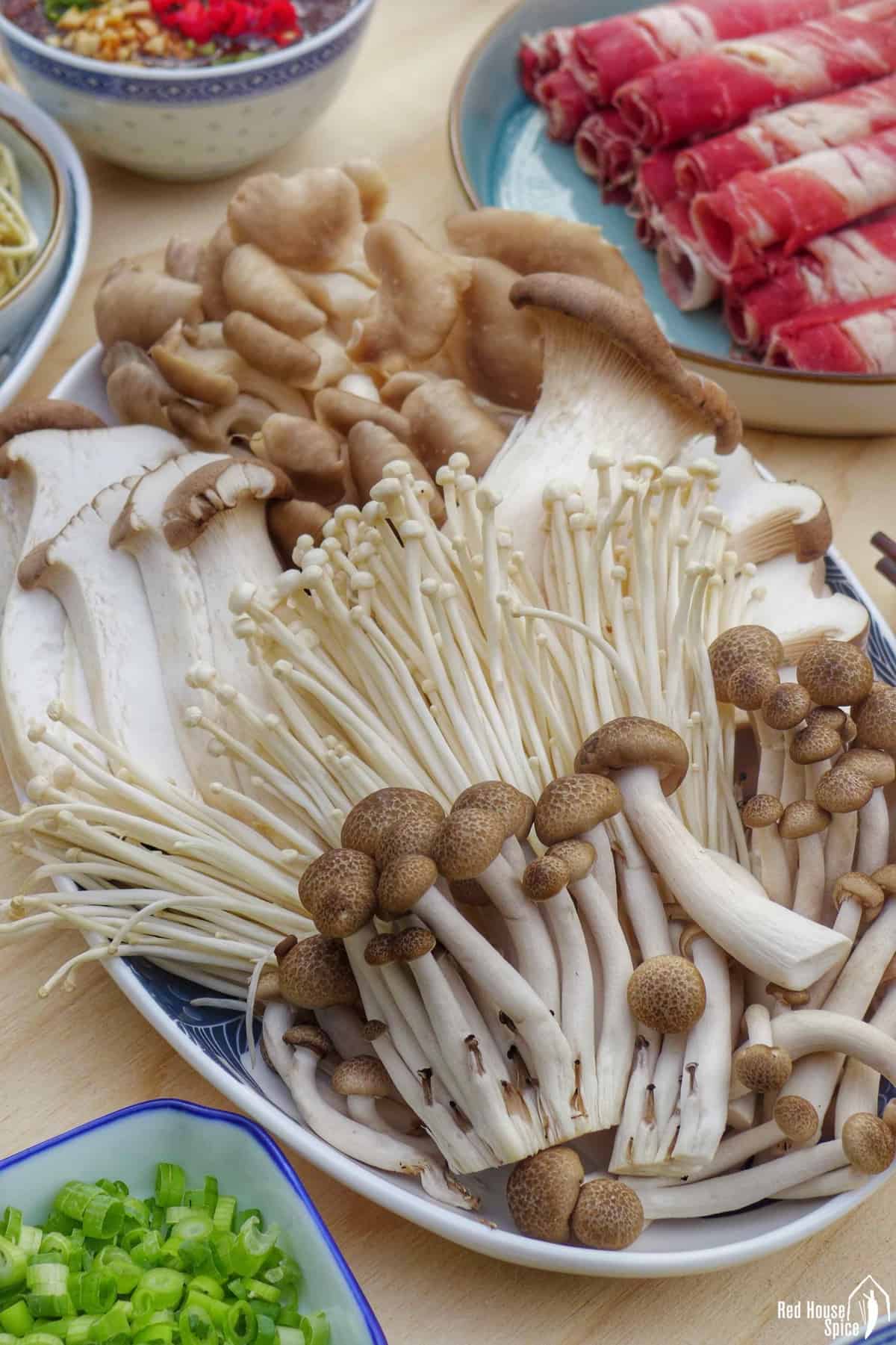 various mushrooms