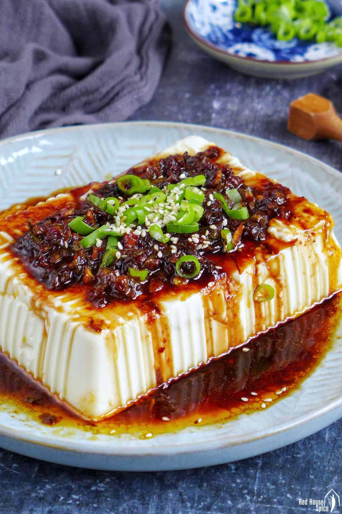 a block of silken tofu with scallion and soy dressing