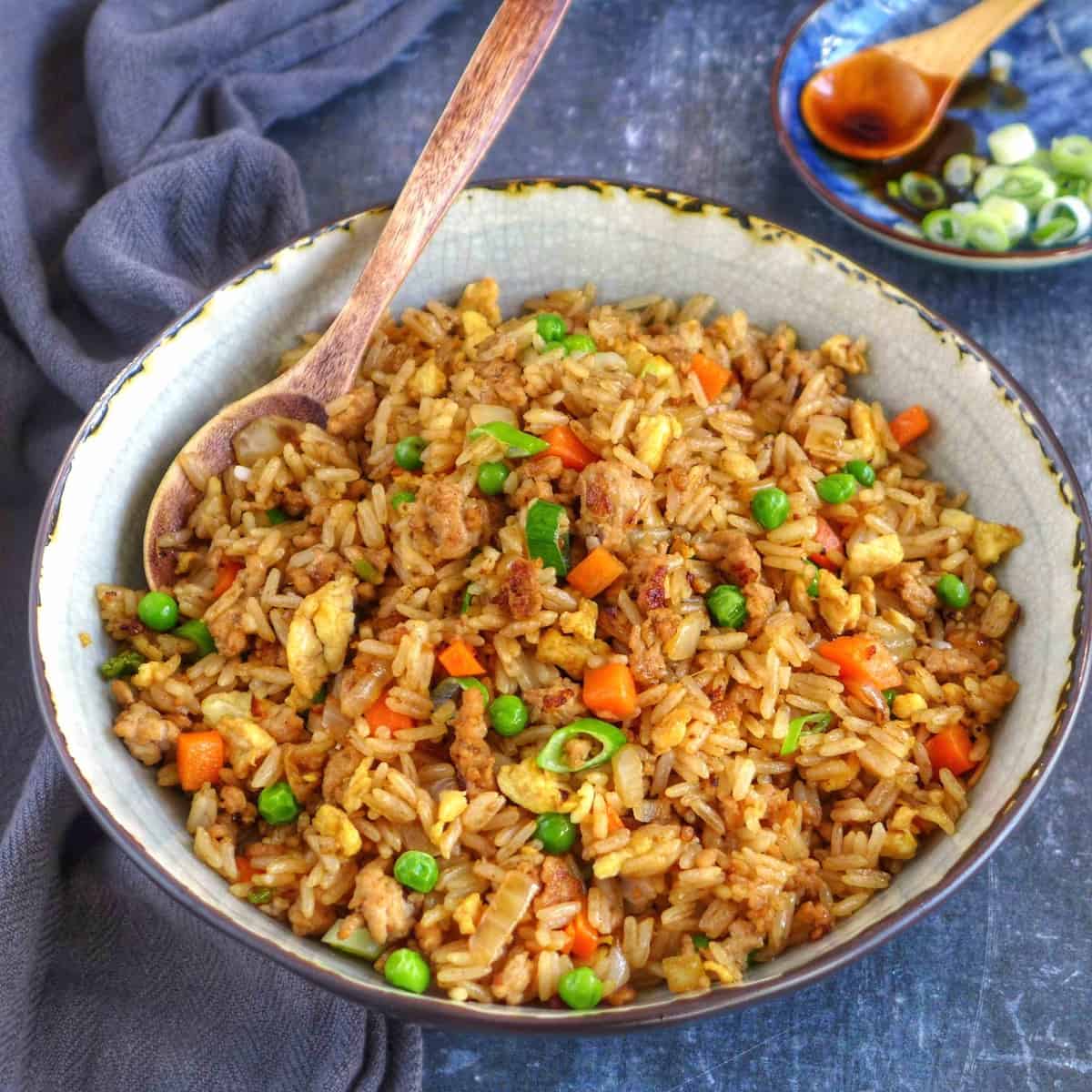 pork fried rice in a bowl