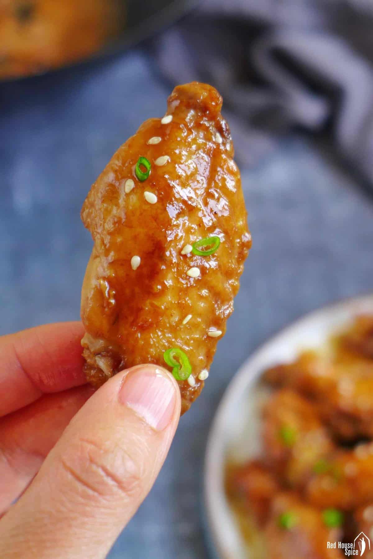 one chicken wing held by a hand