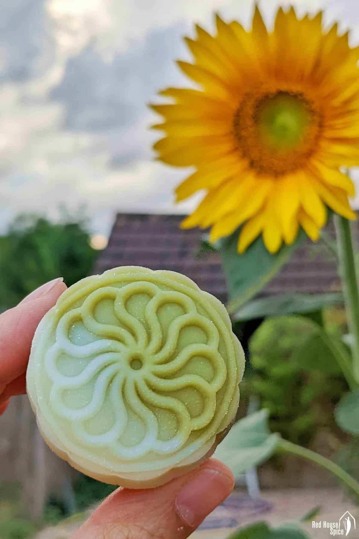 A mooncake held by hand with a sunflower in the background.