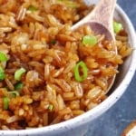 Chinese soy sauce fried rice with a spoon.