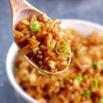 Chinese soy sauce fried rice in a spoon.