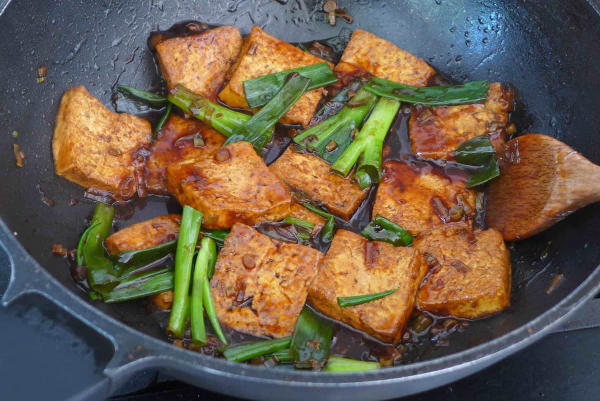 tofu and scallions in thick brown sauce.