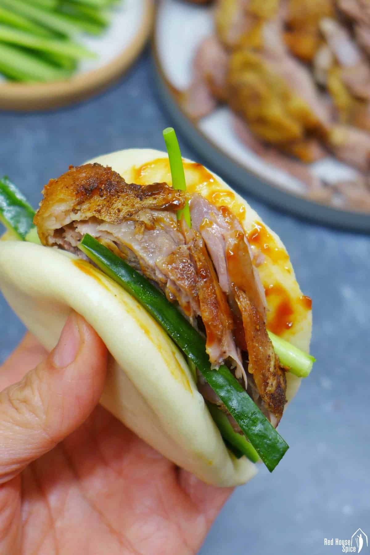 A steamed bao bun stuffed with duck, cucumber, scallions and sauces.