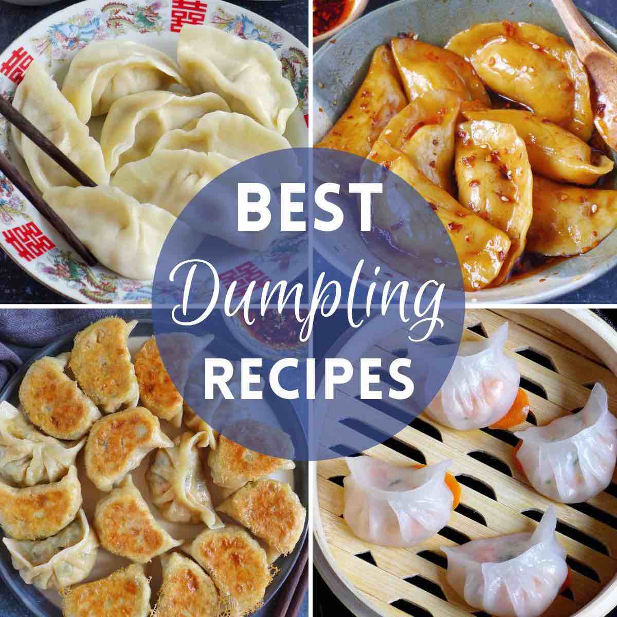 A collage of four dumpling dishes with overlay text that says best dumpling recipes.